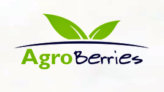 LOGO oficial Agroberries