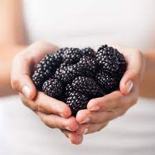 Blackberry