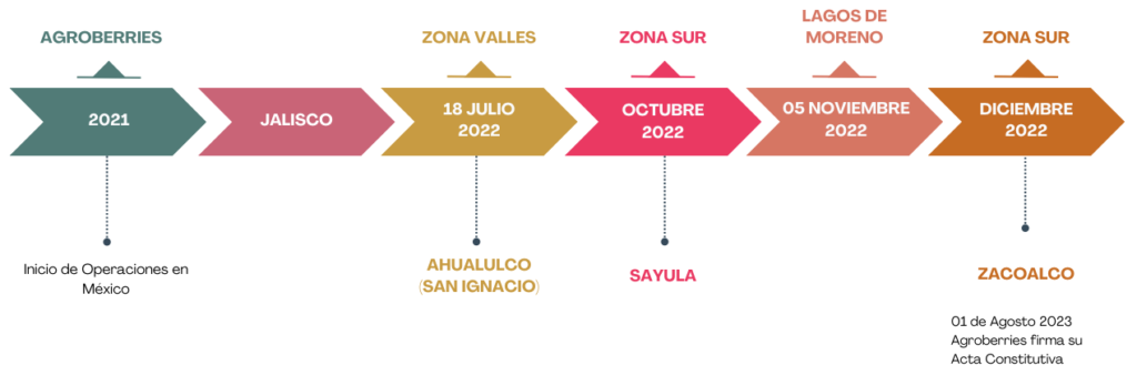 agroberries jalisco